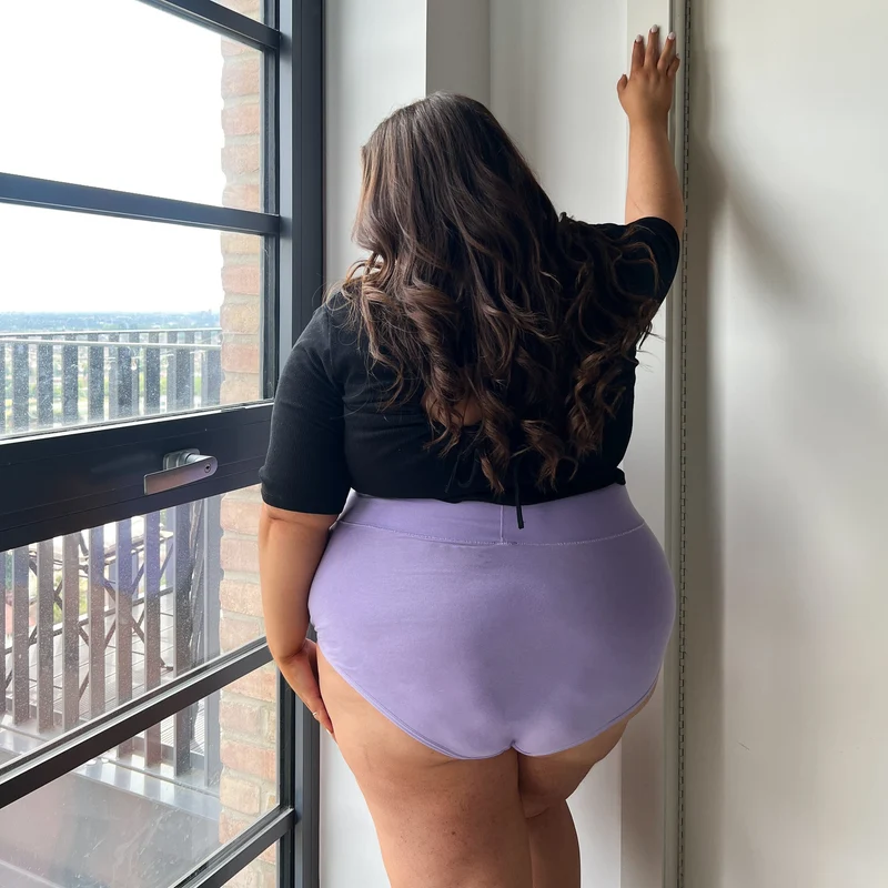 Organic Cotton Super High Waist Knickers - Cassis de Violet