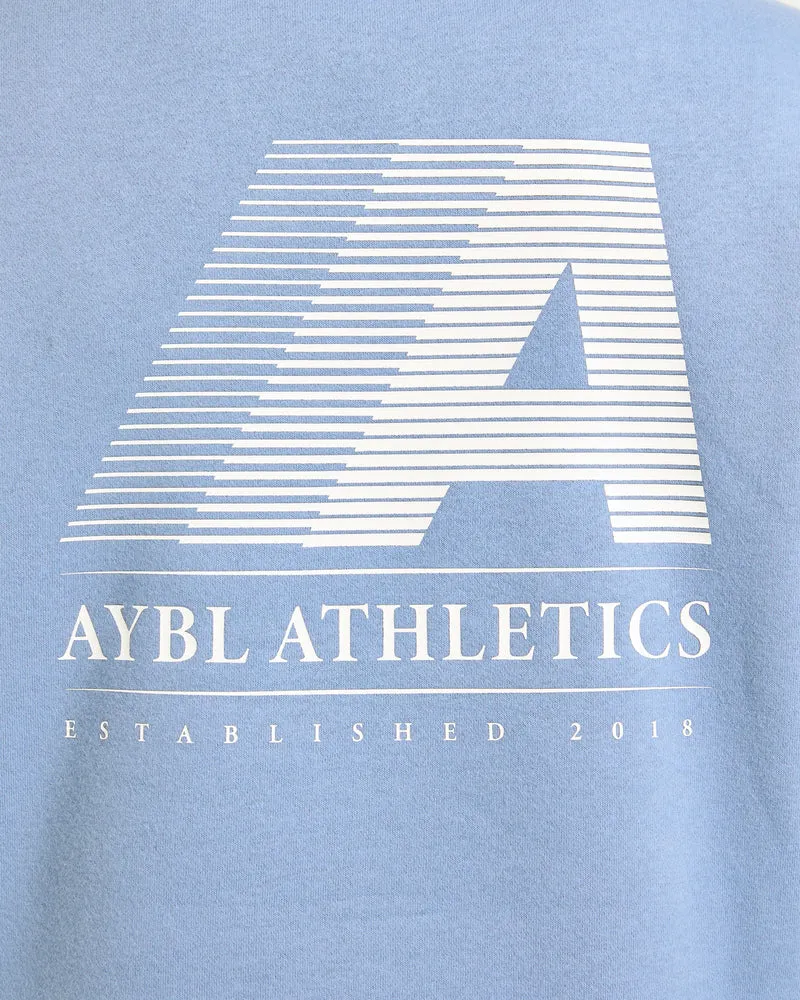 Retro Athletics Oversized 1/4 Zip Pullover - Vintage Bleu
