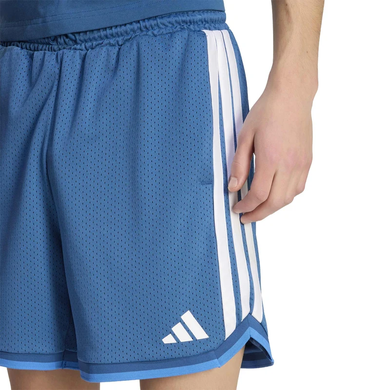 Short Stadium Mesh - Dusky Petrol / Ray Blue / White