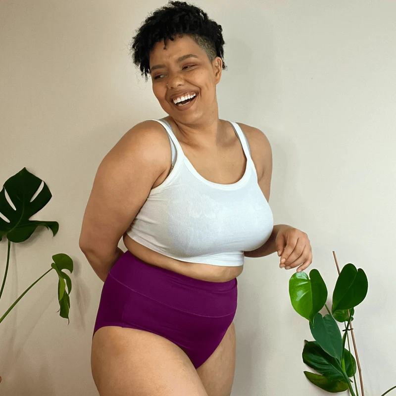 Organic Cotton Full Brief Knickers - Figgy Pudding