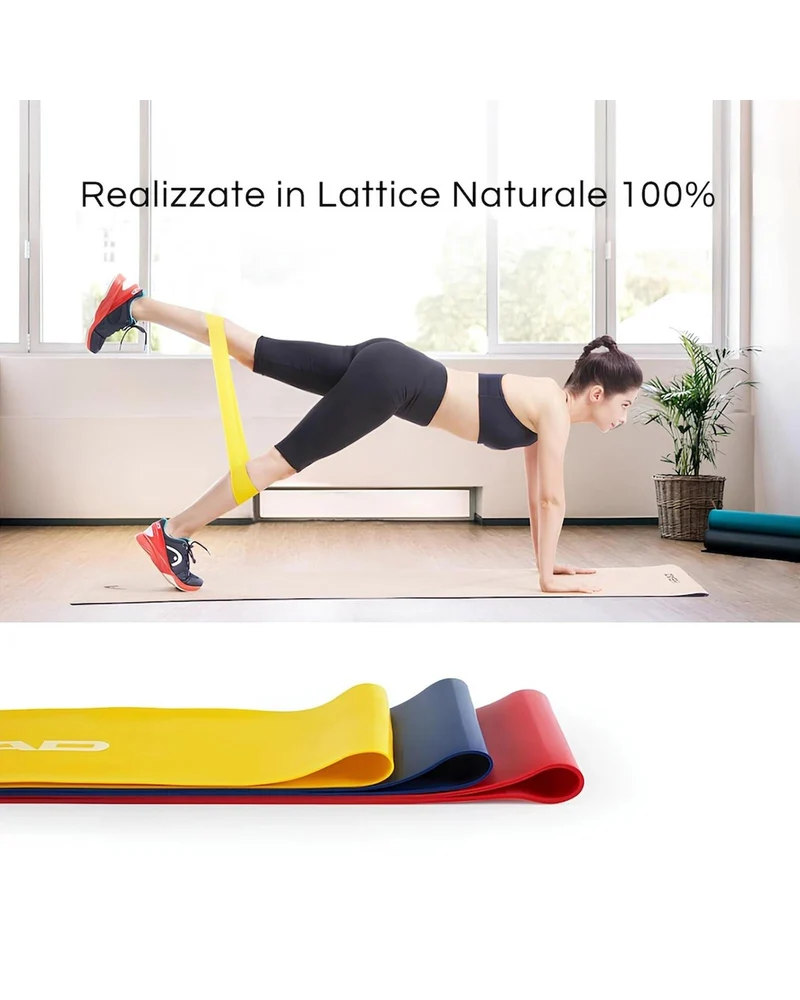 Bande Elastiche In Lattice