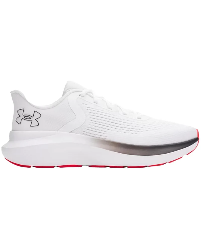 Scarpe Running Uomo Rogue 5