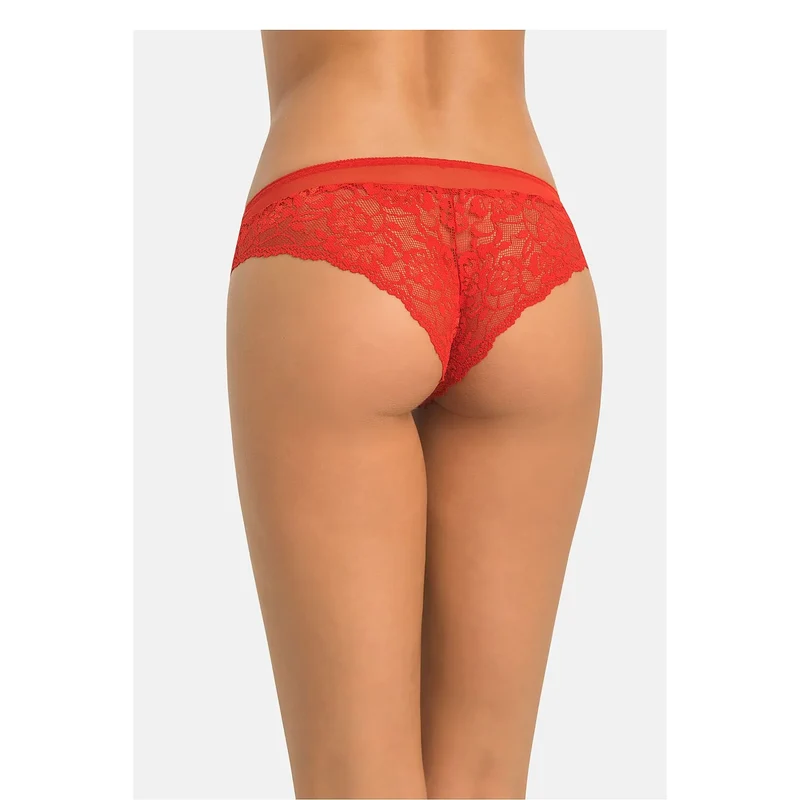Culottes brésiliennes dentelle transparente sexy confort femme Teyli model 228815