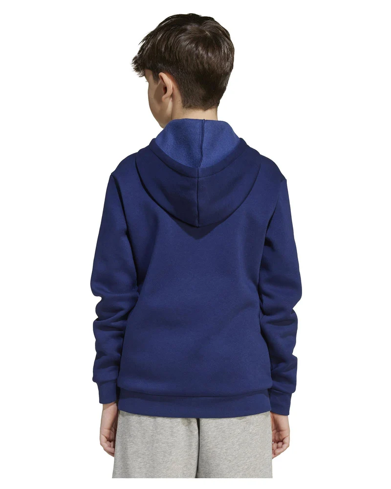 Felpa con Cappuccio Bambino Seasonals Essentials Collegiate