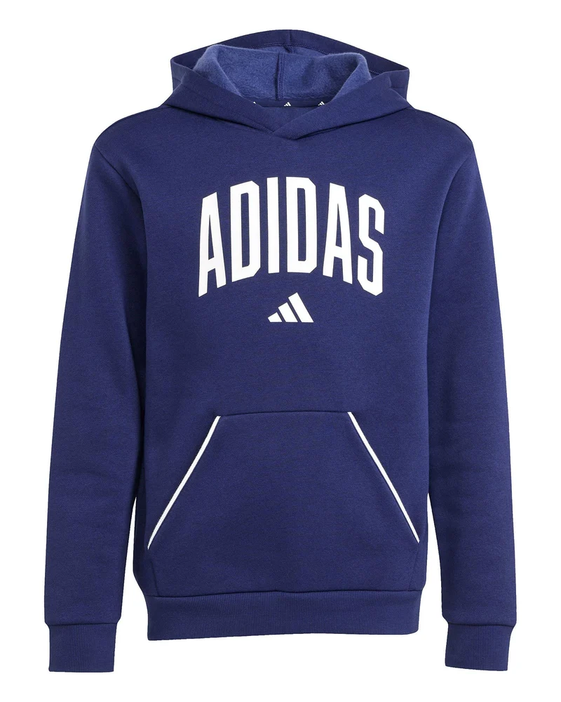 Felpa con Cappuccio Bambino Seasonals Essentials Collegiate