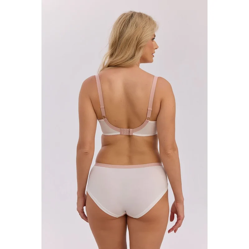Culottes taille haute dentelle microfibre confort quotidien Carolina 1352P