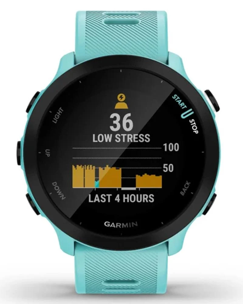 Smartwatch Forerunner 55