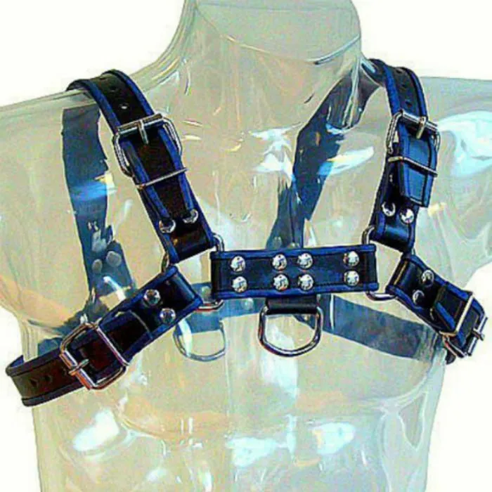 harnais cuir masculin poitrine bulldog bleu noir sangles réglables chaînes métalliques tailles S XL confort ajustable bondage domination esthétique robuste