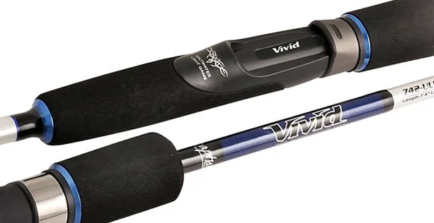 Canna Vivid