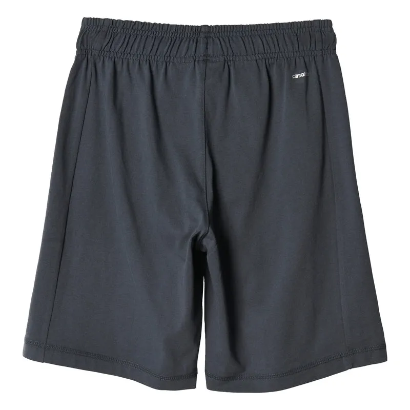 Bermuda Bambino