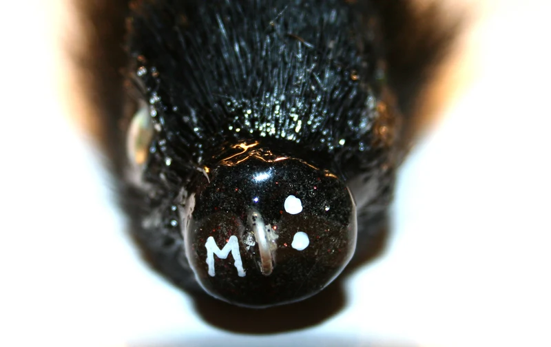 Artificiale Miuras Mini Mouse Subsurface