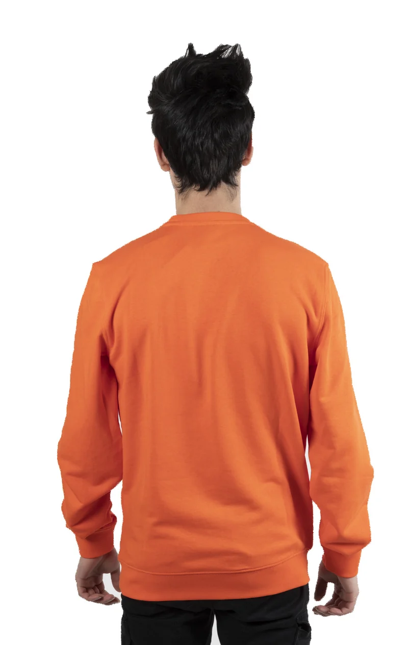 Felpa Uomo American Classic Crew
