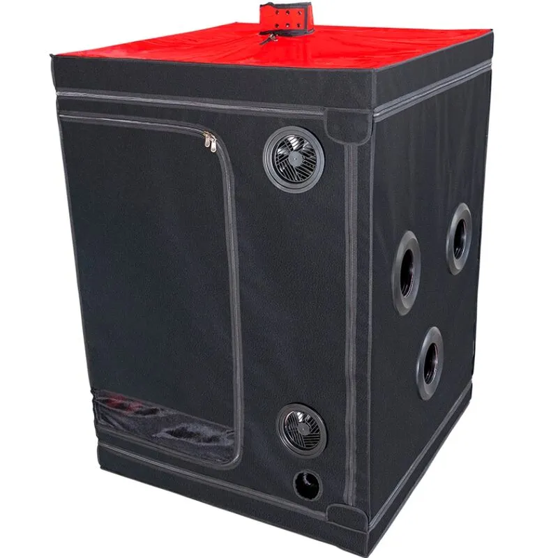 cabine fétiche club scandale noir rouge BDSM immersive LED serrage complet pinces Holedome Eyedome ventilation matelas menottes chaînes