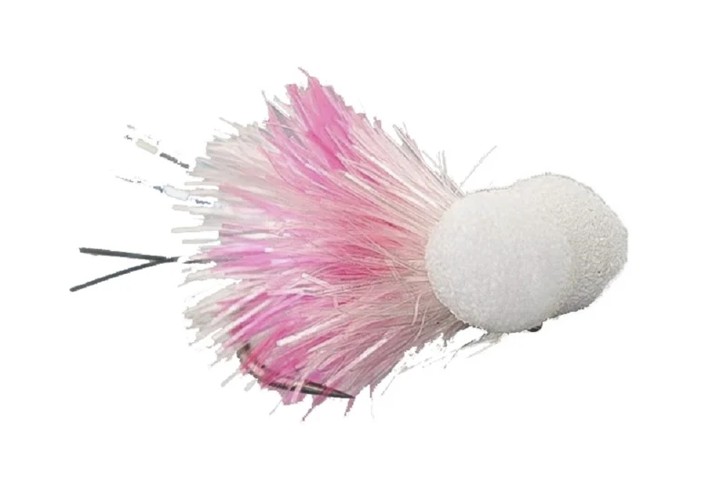 Mosche Jelly Booby