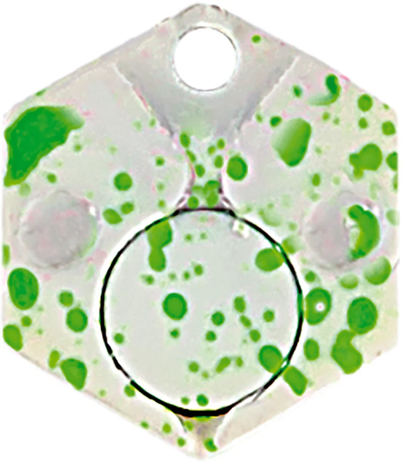 Esche artificiali Trout Area Spoon Hexa 1,3 g