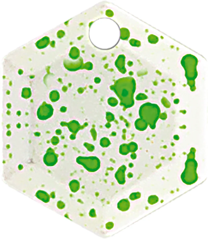 Esche artificiali Trout Area Spoon Hexa 1,3 g