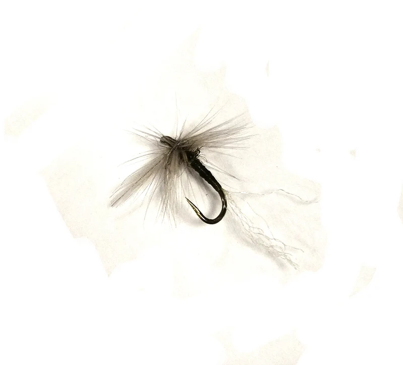 Mosca secca DRY-WOS-01