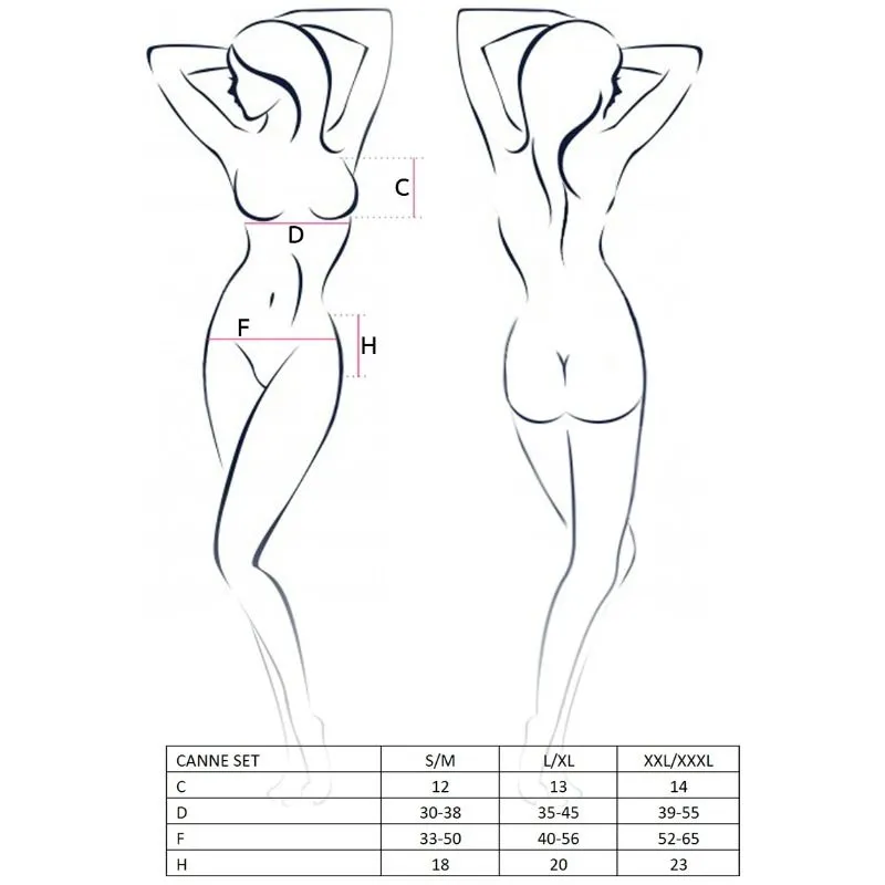 passion ensemble lingerie canne noir sexy élégant séduisant audacieux maintien soutiengorge string portejarretelles confortable extensible polyester polyamide élastique européenne