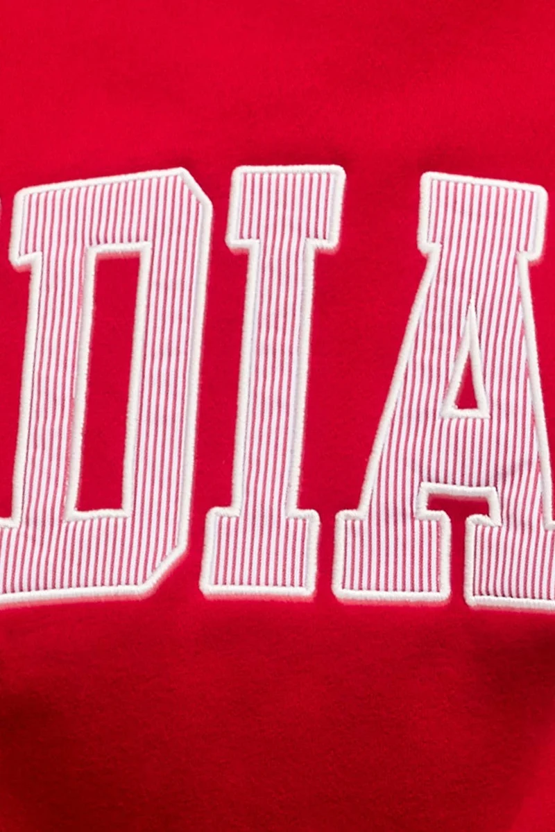 INDIANA Stripe Embroidered Sweatshirt